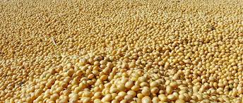 The Matel International - WhatsApp Image 2025-09-29 at 10.23.52 AM